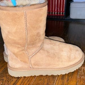 CLASSIC SHORT CHESTNUT UGG